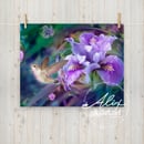 Image 4 of Wild Orchid Hummingbird Poster