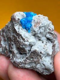 Image 9 of Cavansite On Matrix Specimen | India #2842