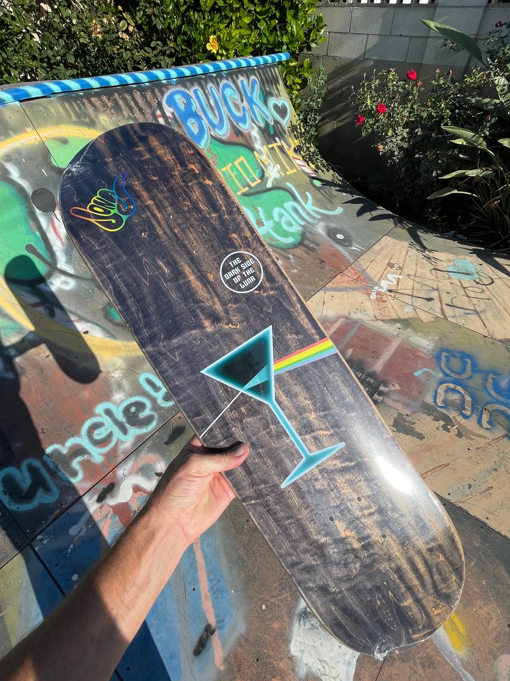 Paul Luna Darkside deck