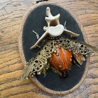 Image 1 of Vertebrae pumpkin beetle (c,  4x5 inches)