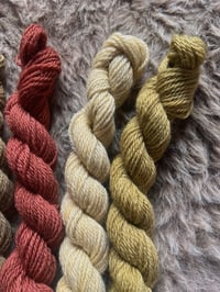 Image 4 of Mini Bundle #5 - 100G Hand Dyed Kent Romney Mini Skeins