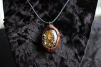 Image 8 of dead good fish head and paua shell necklace