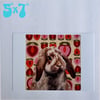 Lop rabbit print