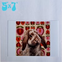 Image 3 of Lop rabbit print