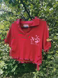 Image 5 of POLO CAT CROPTOP 04