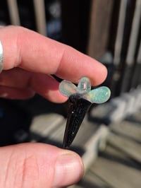Image 1 of Opalized shark tooth pendant.