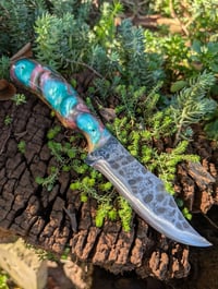 Image 1 of ABALONE BOWIE