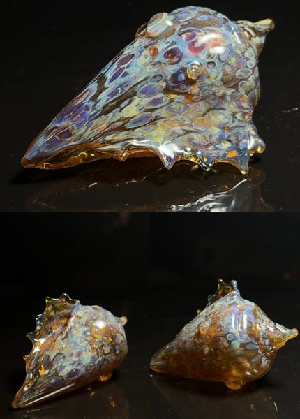 Image of Large Shell 5