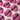 The Pink Heart Puff