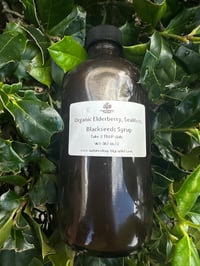 Black Elderberry Syrup 8oz