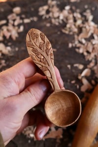 Image 5 of  Oak Tree Coffee Scoop 