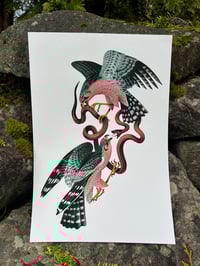 Image 2 of Falcons and Snake