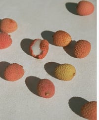 Image 3 of Sand & Fog Lychee Dream oil roll on 