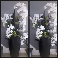 Image 1 of Luxury allium floor standing orchid 