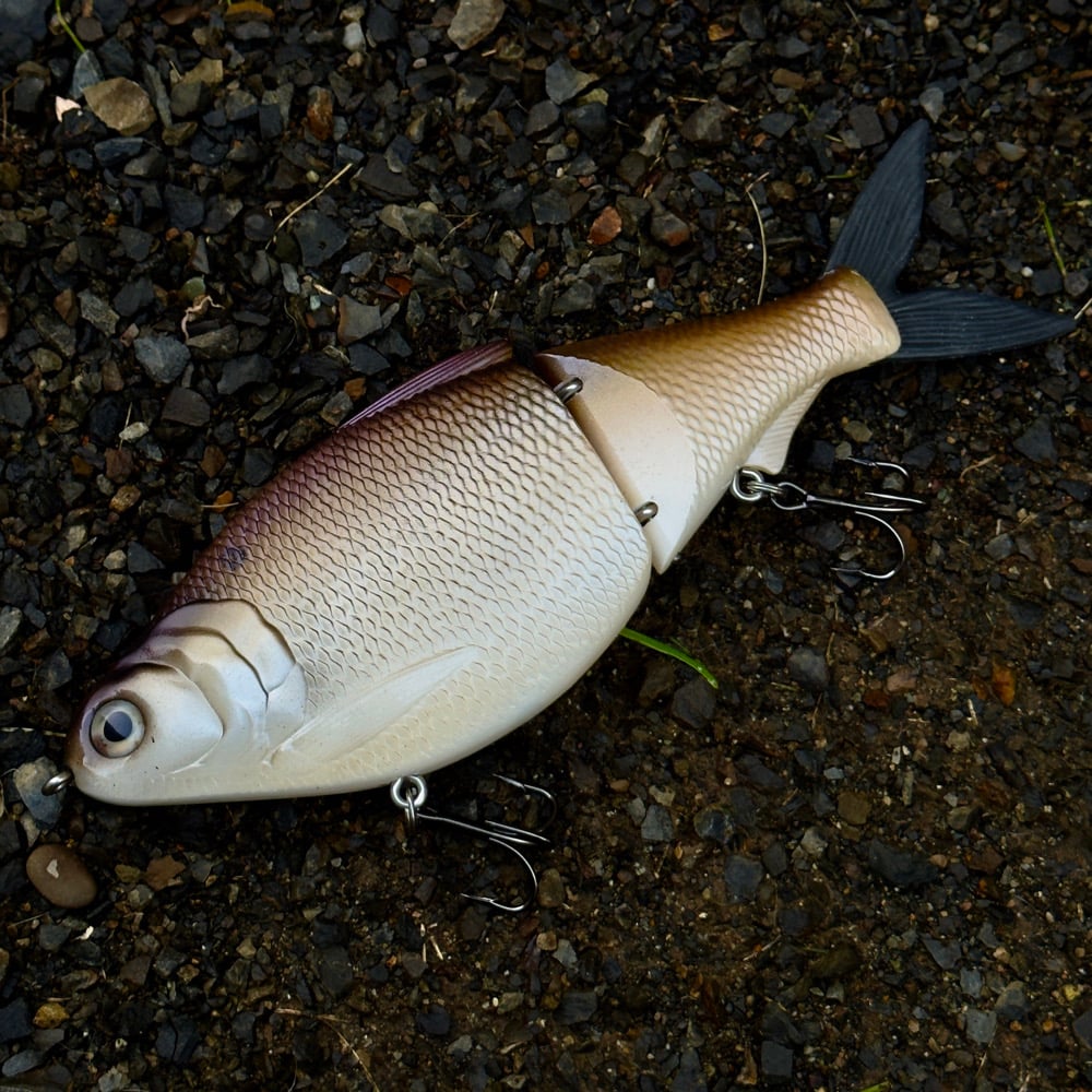 Image of 10 inch shad (slow sink)