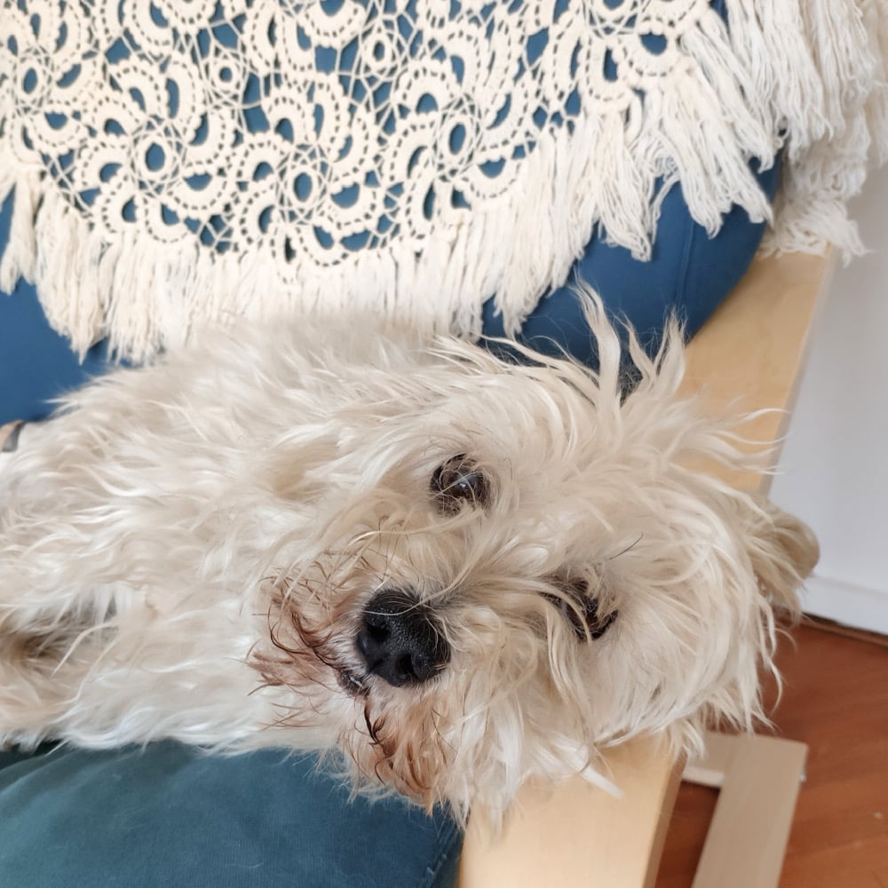 PIATTO - FILOSOFIA BAU