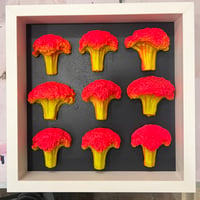 30,000 truths 9 Broccolis