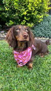 Image 3 of Little Bubba Bandana