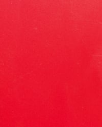 Image 4 of TROUT BUM (PRE-ORDER)