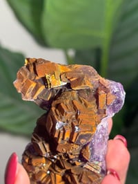 Image 6 of NATURAL RAINBOW IRIDESCENT CUBIC FLUORITE -CHINA- M