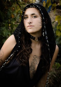 Image 4 of VEIL OF VOLTAGE 