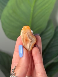 Image 1 of TUMBLED AGATE #36 -LAGUNA-