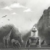 Image 2 of Les girafes 