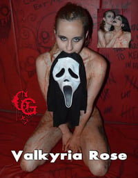 Image 1 of GG Valkyria Rose sets