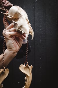 Image 5 of Canine Hanger