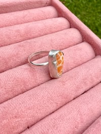 Image 2 of Miter piece ring