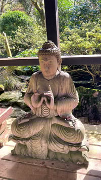 Image 3 of Japanese Garden Mini Sanctuary Session 