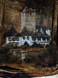 Image 3 of Velvet Swing top-luxe