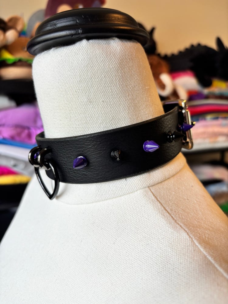 Image of Purple & Black Leather Collar