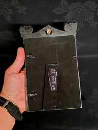 Image 4 of Gothic black ornate framed preserved web  2