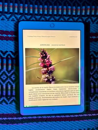 Image 2 of EBOOK PLANTAS DEL SAGRADO FEMENINO