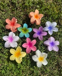 Image 1 of Aloha Hair Clips
