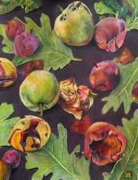 Image 1 of Bad Apples