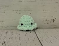 Baby Octopus
