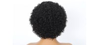 Image 6 of HUMAN HAIR WIG