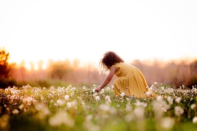 Spring Minis 2025 - Northwest Suburbs