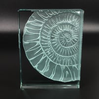 Image 2 of Ammonite Glass Block