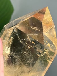 Image 8 of XL NATURAL CITRINE WITH BLACK TOURMALINE TOWER -BRAZIL-