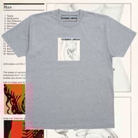 Image 1 of Male anatomy 