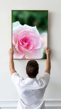 Image 5 of  Harmony Rose