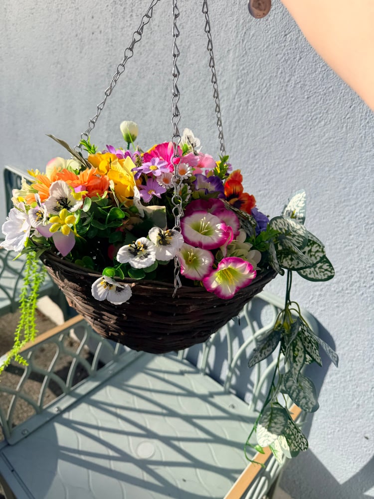 Image of Special Offer Hanging Basket 