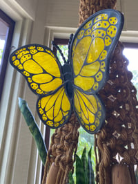 Image 3 of Butterflies 