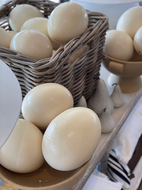 Image of Ostrich Egg