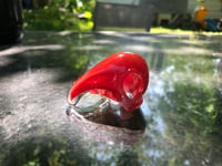 Image 3 of Bird Skull In Cherry