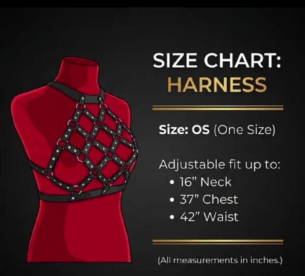 Image of Ritual Binding Harness