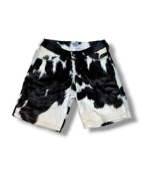 Image 1 of Cow Print Shorts (BLK)